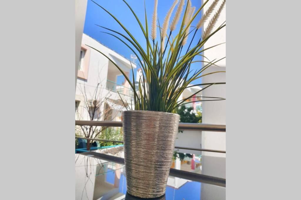Polychrono New 2 Bedroom Apt. Just By The Sea! Esterno foto